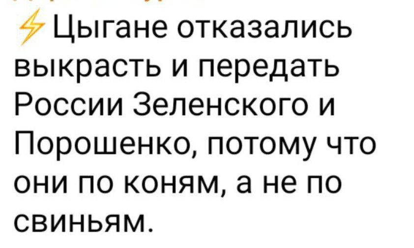 47 Цыгане отказались выкрасть и передать России Зеленского и Порошенко потому что они по коням а не по свиньям