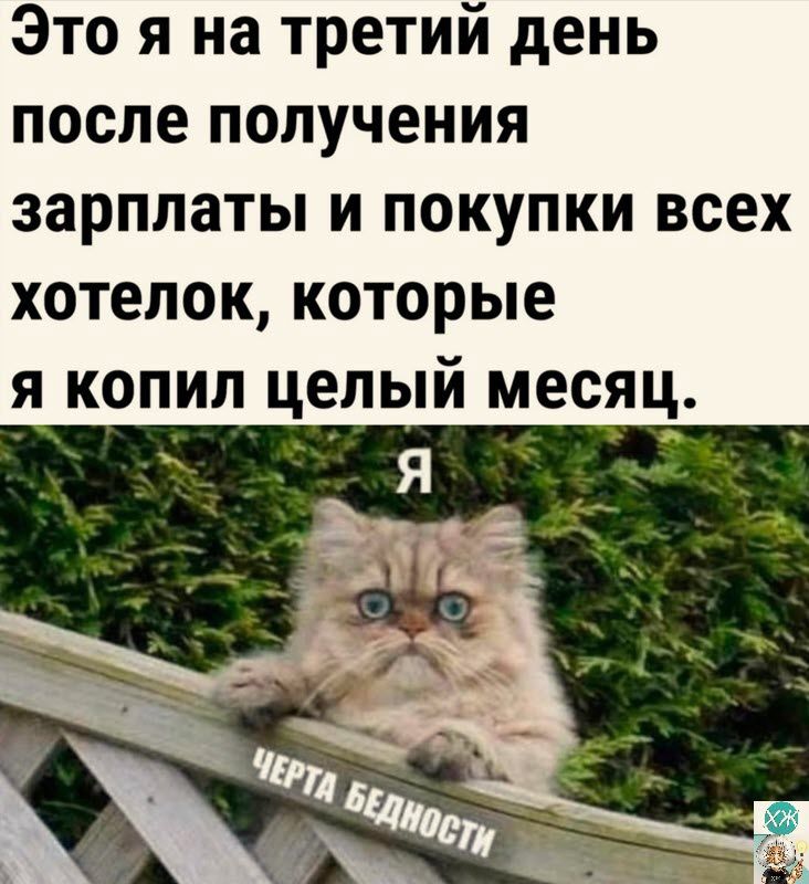 Это я на третий день после получения зарплаты и покупки всех хотелок которые я копил целый месяц