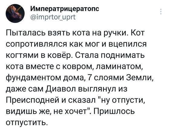 Императрицератопс ітргюшрп Пыталась взять кота на ручки Кот сопротивлялся как мог и вцепился когтями в ковёр Стала поднимать кота вместе с ковром ламинатом фундаментом дома 7 слоями Земли даже сам диавол выглянул из Преисподней и сказал ну отпусти видишь же не хочет Пришлось отпустить