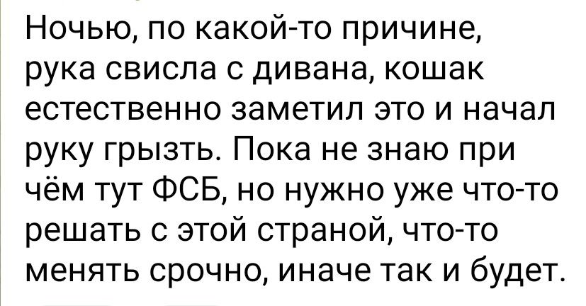 Ночью по какой то причине рука свиспа с дивана кошак естественно заметил это и начал руку грызть Пока не знаю при чём тут ФСБ но нужно уже что то решать с этой страной что то менять срочно иначе так и будет