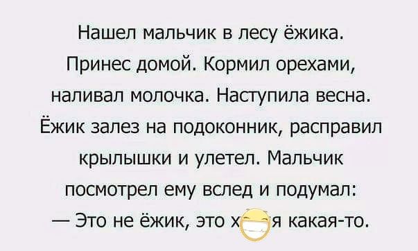 Нашел мальчик в лесу ёжика Принес домой Кормил орехами напивап молочка Насгупипа весна Ёжик залез на подоконник расправип крылышки и улетал Мальчик посмотрел ему вслед и подумал Это не ёжик это хёя какая то