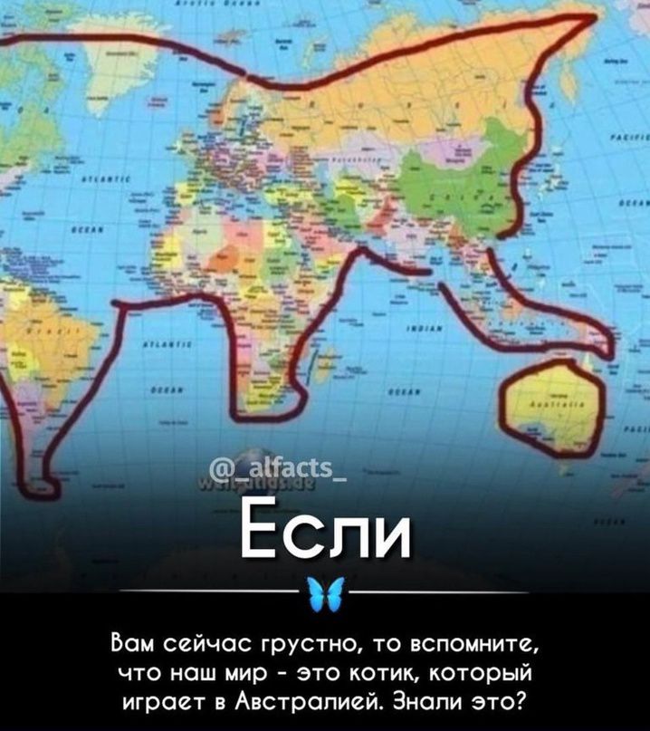 _ _ Вам сейчас грустно то вспомнит что наш мир это котик который играет в Австралией Знали это