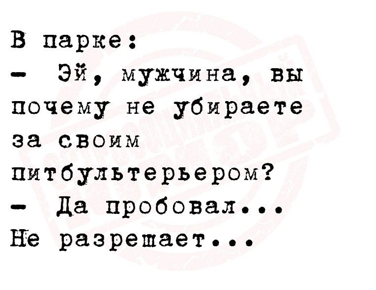 В парке Эй мужчина вы почему не убираете за своим питбультерьером да пробовал не разрешает