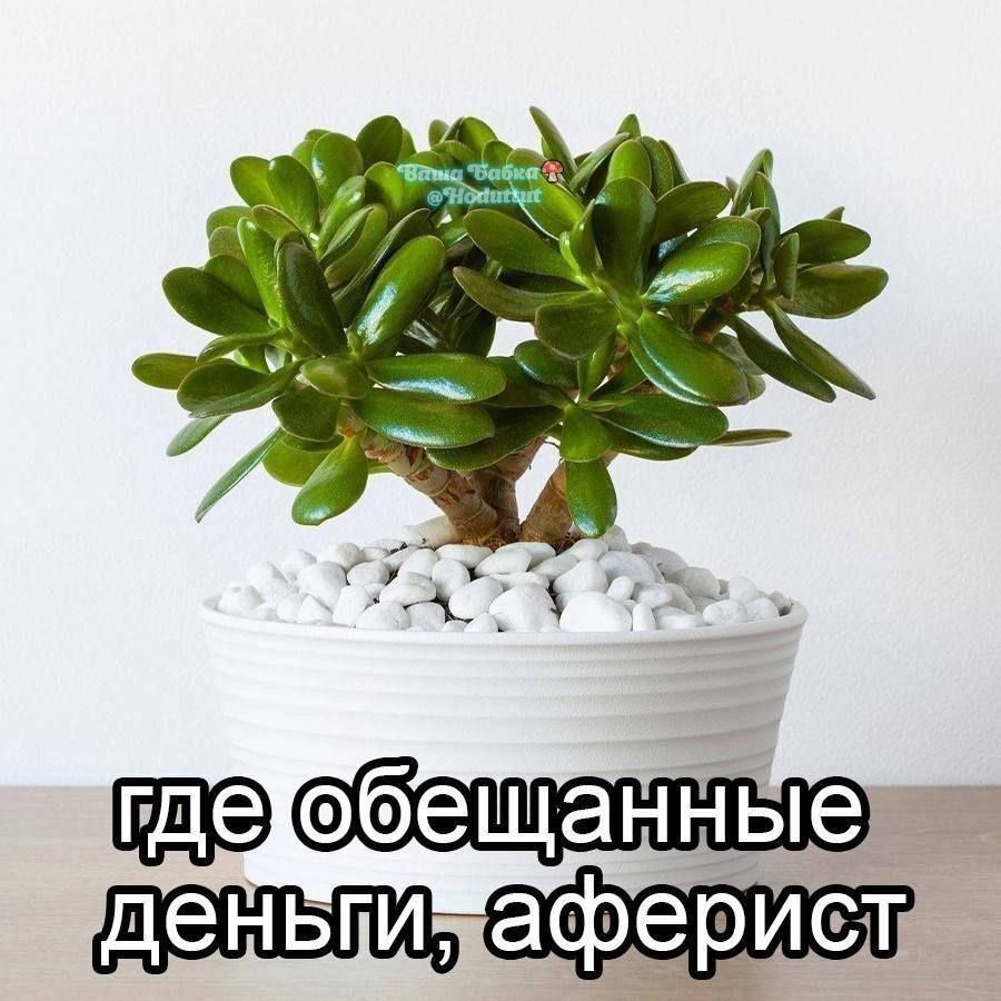 _э