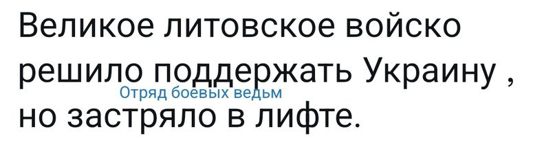 Великое литовское войско решило поддевдкать Украину отд боевых не но застряло в лифте