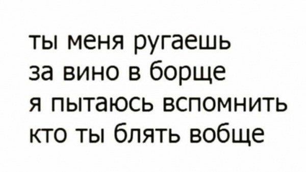 ты меня ругаешь за вино в борще я пытаюсь вспомнить кто ты блять вобще