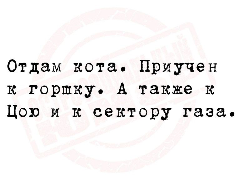 Отдам кота Приучен к горшку А также к Цою и к сектору газа