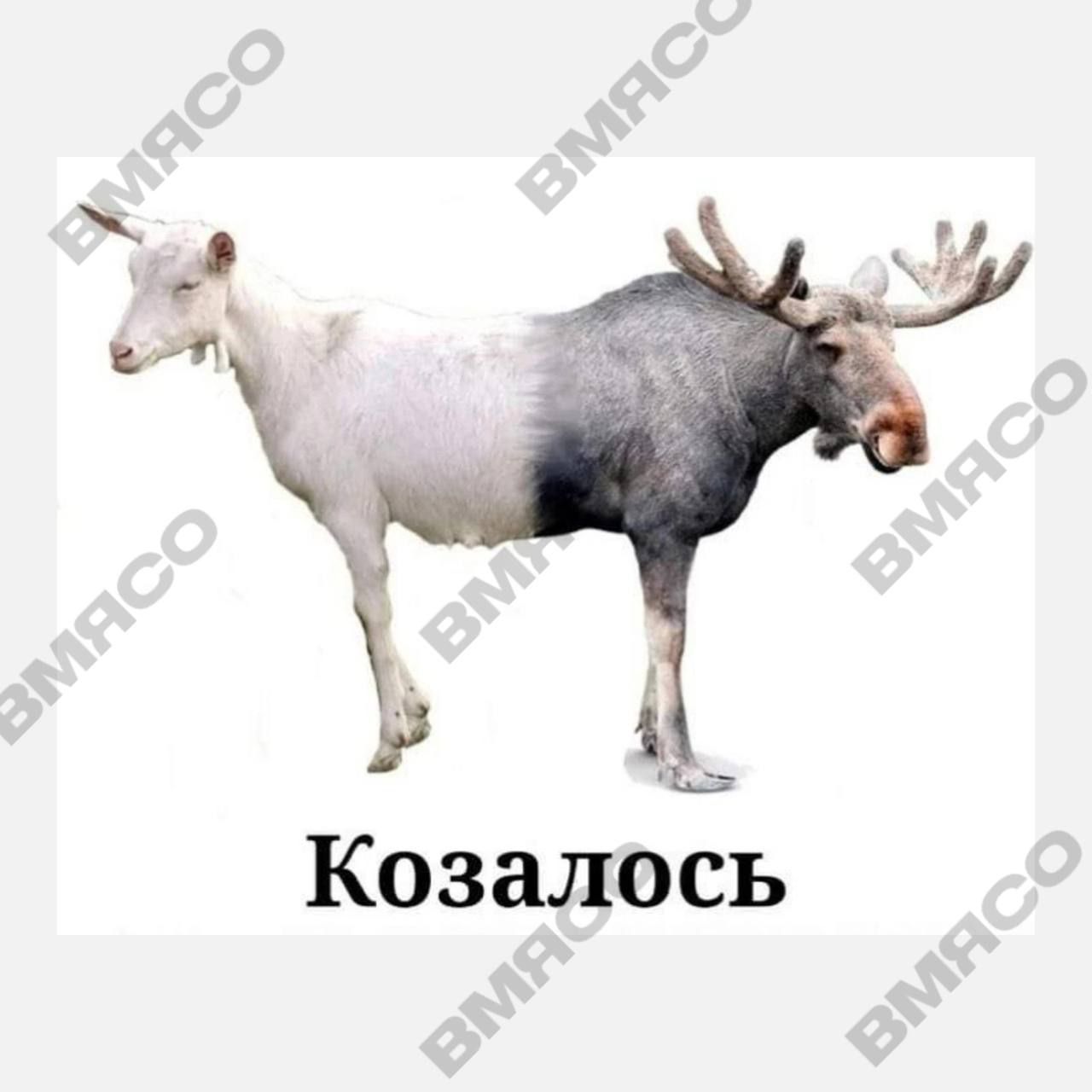 Казалось