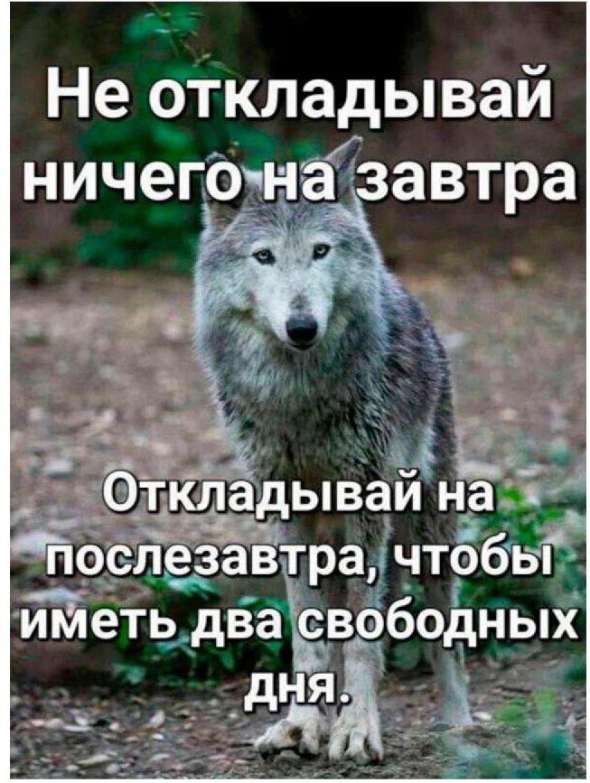 Не 9ткладывай ничегочнёвавтра Оіі кладываи на _ послезавтрасчтобы ййетьв _два вободных