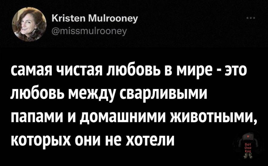 4 игізтеп мщюопеу самая чистая любовь в мире это любовь между сварливыми папами и домашними животными которых они не хотели