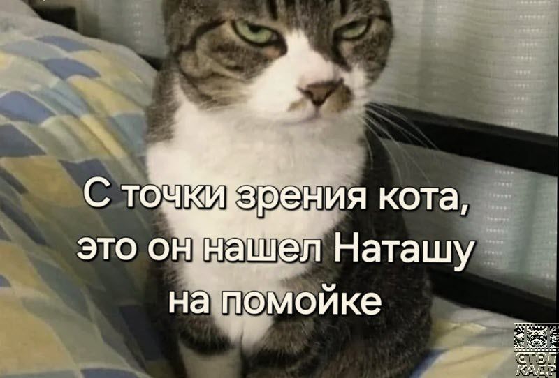 этоо Шаш Наташу ойке