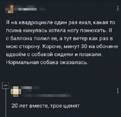 Я из квадроцикла один рп сил кик я го псина кинулась хотели иагу понюхать я баллона полип ее уут ветер как раз в мою сторону Корте минут 30 на обомше влюём с собакой сидели и плакали Нормальная собак эквипкь 20 не вместе трое щенят