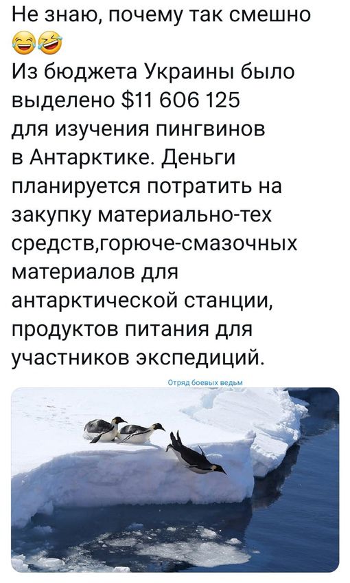 Не знаю почему так смешно 99 Из бюджета Украины было выделено 11 606125 для изучения пингвинов в Антарктике Деньги планируется потратить на закупку материальнотех средствгорюче смазочных материалов для антарктической станции продуктов питания для участников экспедиций