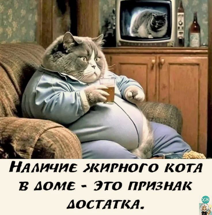 Нлличиг жирнбго кот Аомв это признлк достлткл