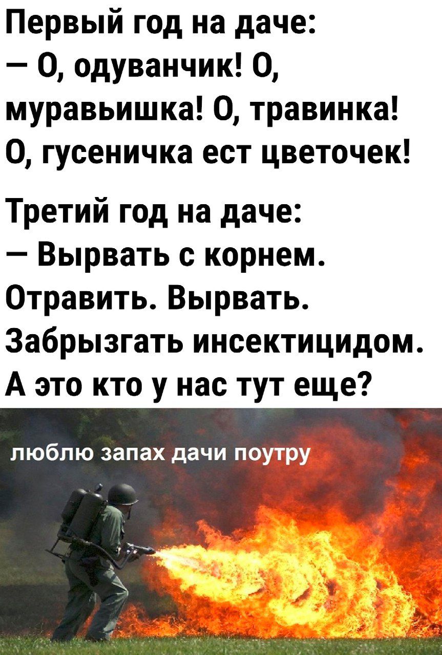 Первый год на даче 0 одуванчик О муравьишка 0 травинка 0 гусеничка ест цветочек Третий год на даче Вырвать корнем Отравить Вырвать Забрызгать инсектицидом А это кто у нас тут еще ПЮбПЮ запах дачи П