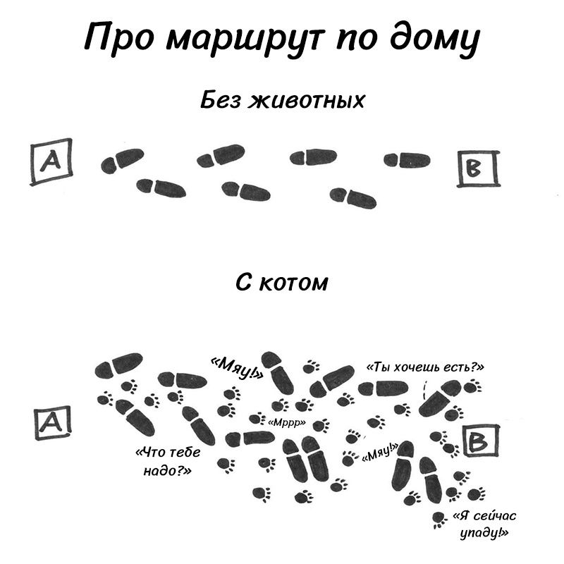 Про маршрут по дому Без животных с _ __ __ утауь