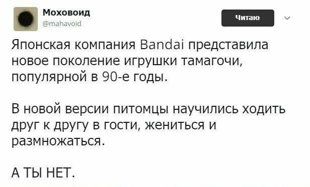 ш Японская компания Ваппаі представила новое покеление игрушки тамагочи популярной в 90 е годы В новой версии питомцы научились ходить друг И другу в гопи жениться и РЗЗМНОЖВТЬСЯ АТЫ НЕГ