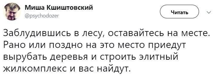 Минт Кшишюцкий й Заблудившись в лесу оставайтесь на места РЕНО ИЛИ ПОЗДНО на ЭТО МеСТО ПрИёДуТ вырубать деревья и строить элитный жилкомплекс и вас найдут