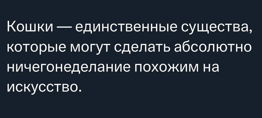 КОШКИ единственные существа которые МОГУТ сделать абсолютно ничегонедепание ПОХОЖИМ на ИСКУССТВО