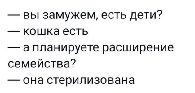 вы замужем есть дети кошка есть а планируете расширение семейства _она стерилизована