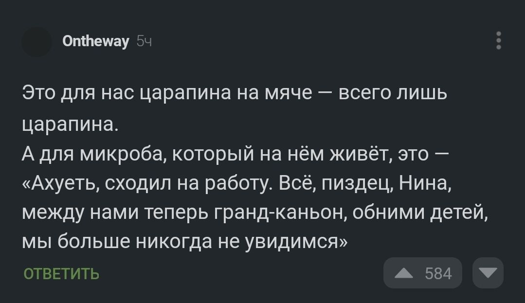 от щ Это для нас царапина на мяче всего лишь царапина А для микроба который на нем живёт это Ахуеть сходил на работу Всё пиздец Нина между нами теперь гранд каньон обними детей мы больше никогда не увидимся тпгтип А 534