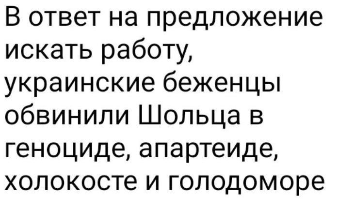 В ответ на предложение искать работу украинские беженцы обвинили Шольца в геноциде апартеиде холокосте и голодоморе