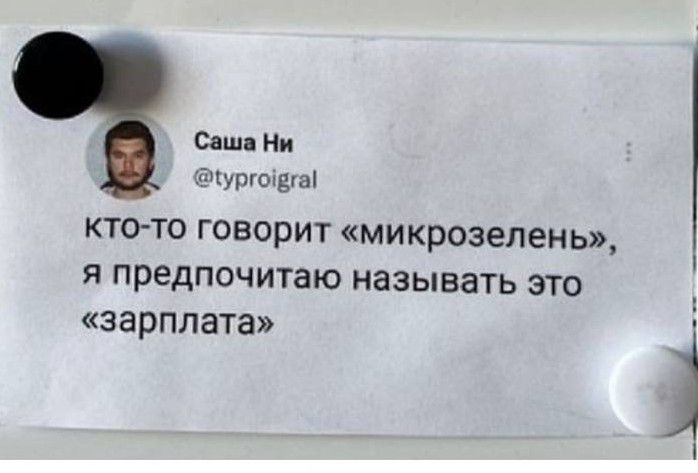 Саш Ми мгнод кто то говорит микрозепень я предпочитаю называть это зарплата