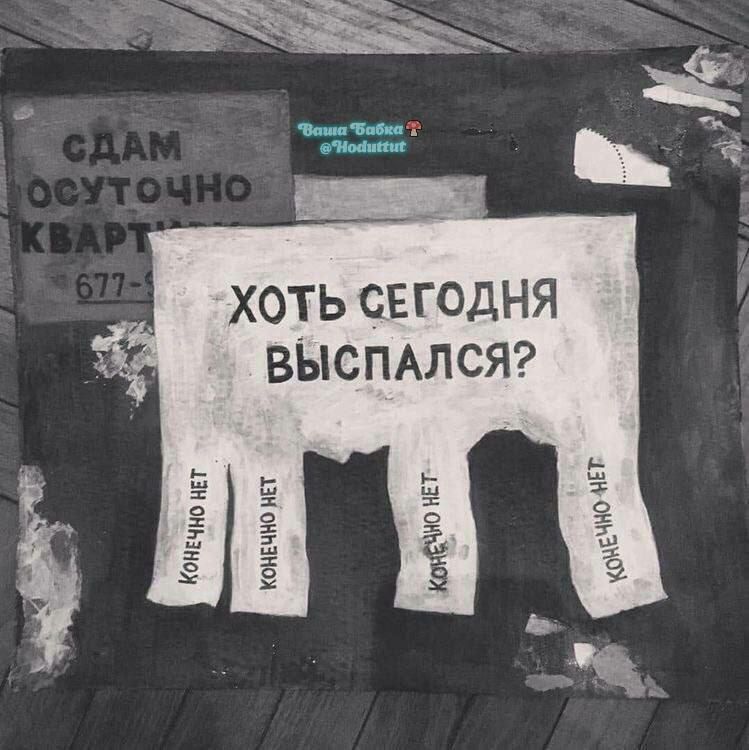 КОИЕчно мег ХОТЬ СЕГОДНЯ ВЫСПАЛСЯ иоивчип ип