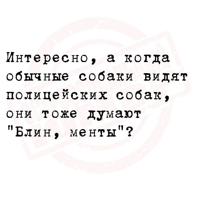 Интересно а когда обычные собаки видят полицейских собак они тоже думают Блин менты