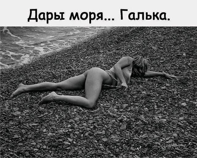 Дары моря Галька