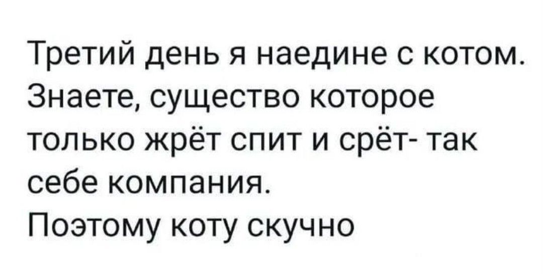 Третий день я наедине с котом Знаете существо которое только жрёт спит и срёт так себе компания Поэтому коту скучно