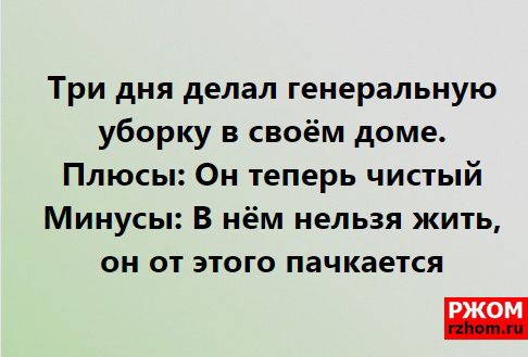 Три дня делал генеральную уборку в своём доме Плюсы Он теперь чистый Минусы В нём нельзя жить он от этого пачкается