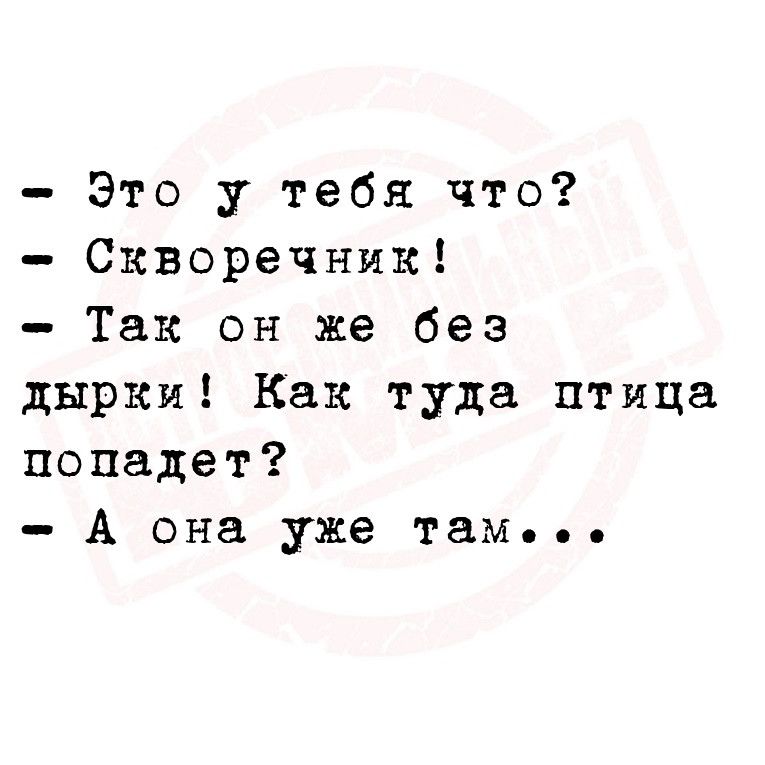 Это у тебя что Скворечник Так он же без дырки Как туда птица попадет А она уже там