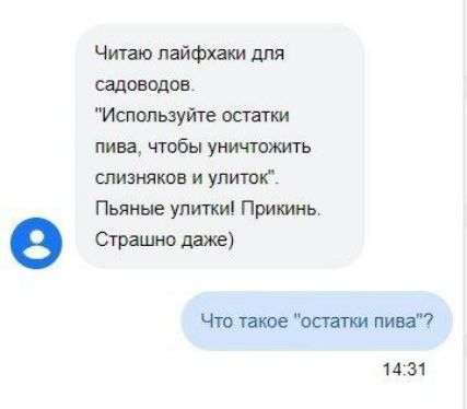 Читаю пайфхаям для садоводов Используйте опажи пива чтобы уничтожить спизняков и улиток Пьяные улитки Прикинь Страшно даже ЧтотаиоеЪаиттпии 14331