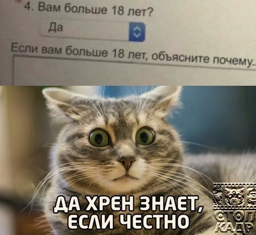 дАЗРЕдГзнА6т есдичестно