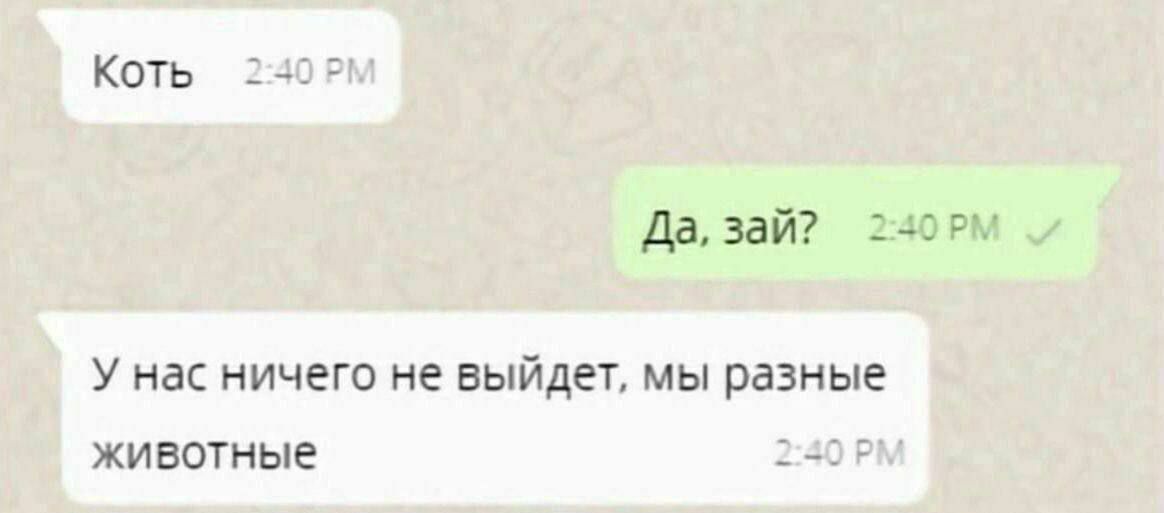 давай Аэвю У нас ничего не выйдет мы разные ЖИВОТНЫЕ