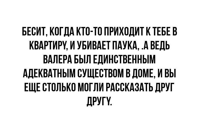 БЕБИТ КОГДА КТП ТП ПРИХОДИТ К ТЕБЕ В КВАРТИРУ И УБИВАЕТ ПАУКА А ВЕДЬ ВАЛЕРА БЫЛ ЕЛИНБТВЕННЫМ АДЕКВАТНЫМ ВУЩЕВТВПМ В ЛВМЕ И ВЫ ЕЩЕ СТПЛЬКП МПГПИ РАССКАЗАТЬ ПРУГ ЛРУГК