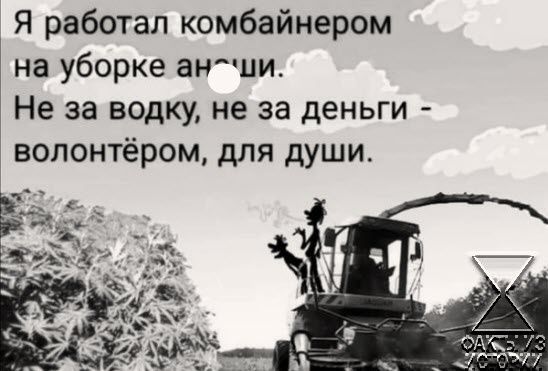 Я работал комбайнером на уборке арг ци Не за водку не за деньги волонтёром для души