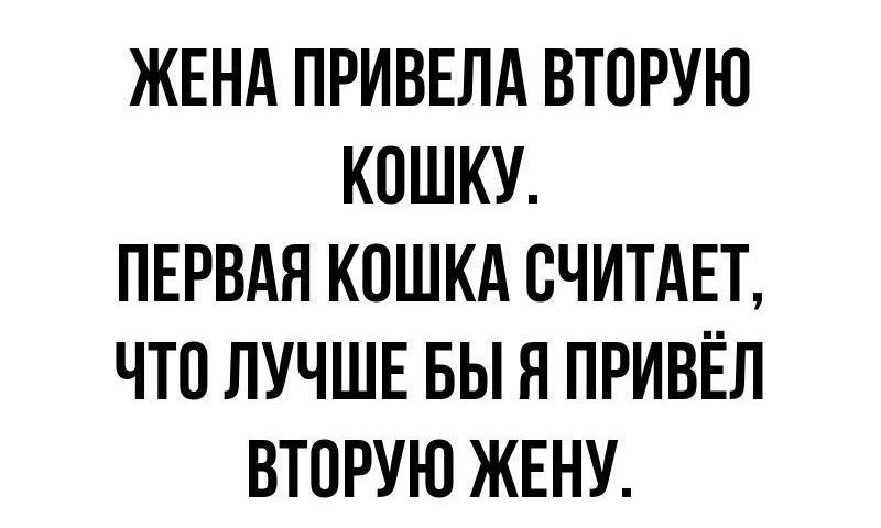 ЖЕНА ПРИВЕЛА ВТПРУЮ КПШКУ ПЕРВАЯ КОШКА СЧИТАЕТ ЧТП ЛУЧШЕ БЫ Я ПРИВЁЛ ВТПРУЮ ЖЕНУ