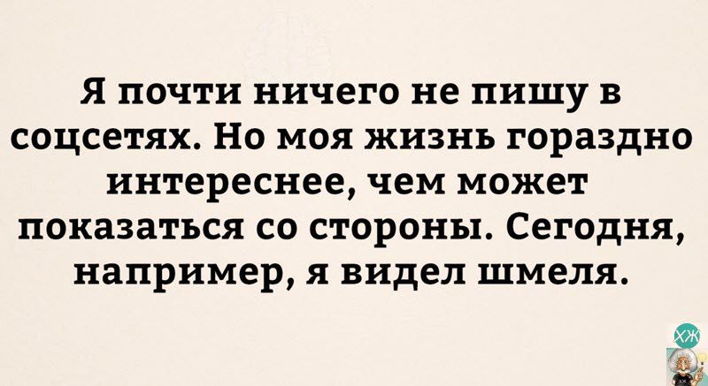 Я почти ничего не пишу в соцсетях но моя жизнь гораздно интереснее чем может показаться со стороны Сегодня например я видел шмеля