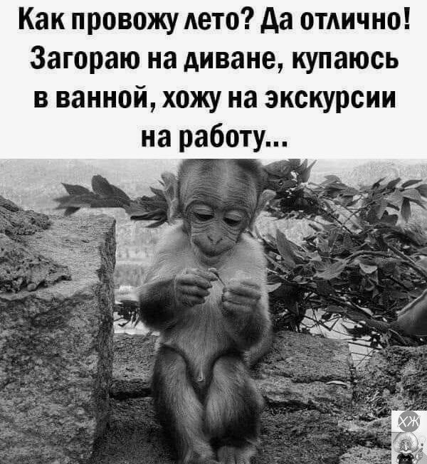 Как провожу дето Аа ОТАИЧНО Загораю на диване купаюсь в ванной хожу на экскурсии на работу