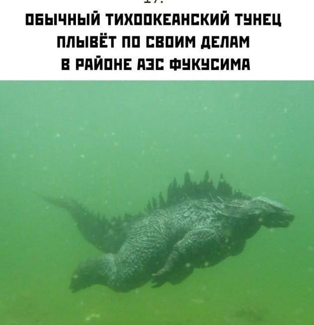 ПЕЫЧНЫЙ ТИХППКЕПНЕКИЙ ТННЕЦ ПЛЫВЕТ ПП ЕЕПИМ дЕЛПМ