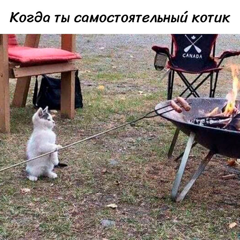 Когда ТЫ СЦМОСТОЯТЗАЬНЫЙ КОТЦК