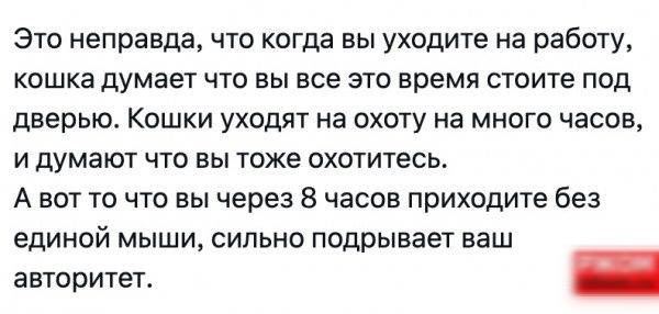 Это неправда что когда вы уходите на работу кошка думает что вы все это время стоите под дверью КОШКИ УХОДЯТ на ОХОТУ На МНОГО ЧЗСОВ и думают что вы тоже охотитесь А вот то что вы через 8 часов приходите без единой мыши сильно подрывает ваш авторитет