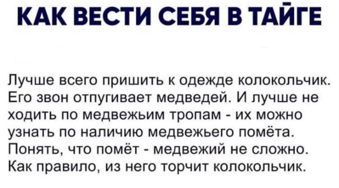 КАК ВЕСТИ СЕБЯ В ТАЙГЕ Лучше ВСЕГО ПрИШИТЬ К одежде КОПОКОПЬЧИК Его звон отпугивает медведей И лучше не ходить по медвежьим тропам их можно узнать по наличию медвежьего помёта Понять что помёт медвежий не сложно Как правило из него торчит колокольчик