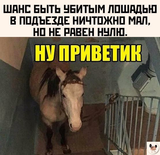 ШдНЕ БЫТЬ НЕИТЫМ ППШддЫП В ППДЪЕШЕ НИЧТПЖНП МАП НП НЕ РПВЕН ННЛШ ни пгивнин