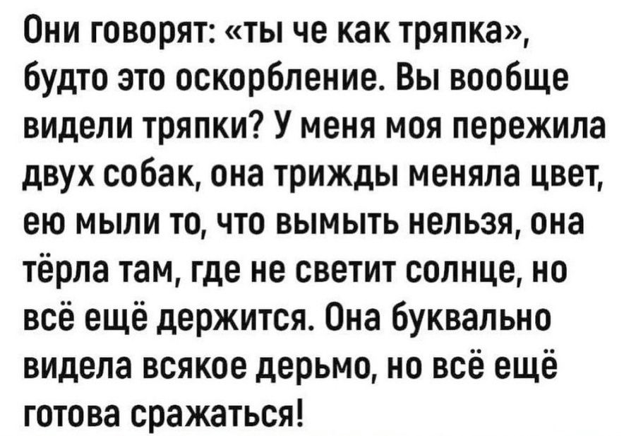 Они говорят ты че как тряпка будто это оскорбление Вы вообще видели тряпки У меня моя пережила двух собак она трижды меняла цвет ею мыли то что вымыть нельзя она тёрпа там где не светит солнце на всё ещё держится Она буквально видела всякое дерьмо но всё ещё готова сражаться