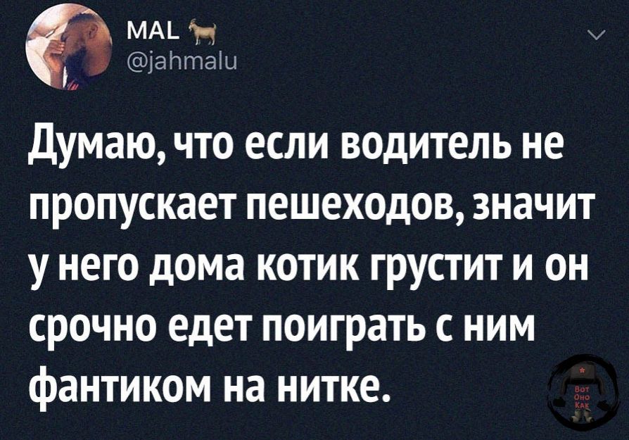 МАД Н Ё1ВНПЧЗШ думаю что если водитель не пропускает пешеходов значит у него дома котик грустит и он срочно едет поиграть с ним фантиком на нитке