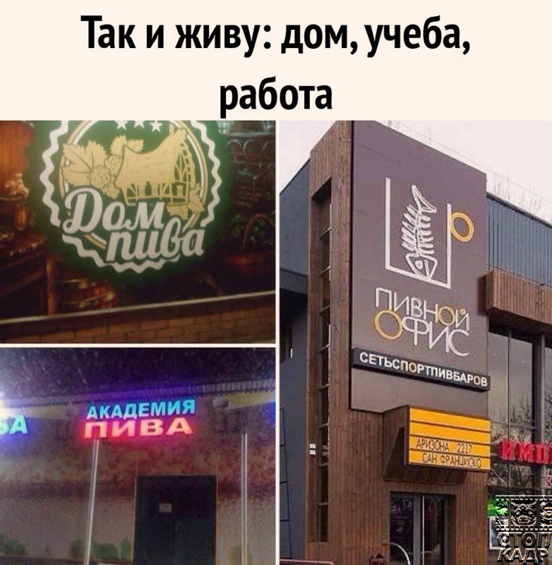 Так и живу домучеба