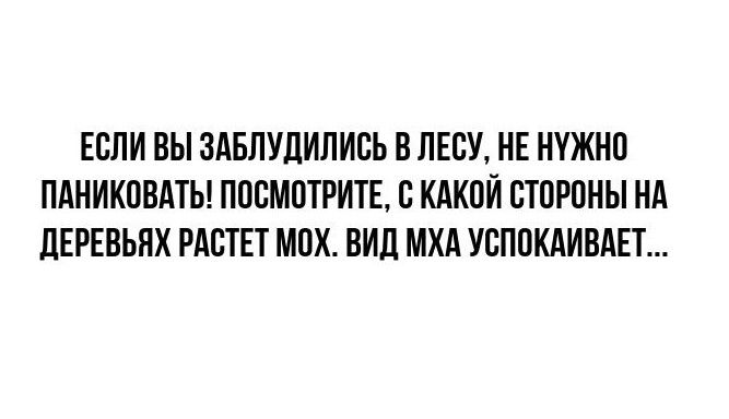 ЕСЛИ ВЫ ЗАБЛУЛИЛИБЬ В ЛЕСУ НЕ НУЖНО ПАНИКПВАТЬ ПОСМОТРИТЕ Б КАКОЙ БЮРПНЫ НА ЦЕРЕПЬПХ РАСТЕТ МПХ ВИП МХА УСППКАИВАЕТ